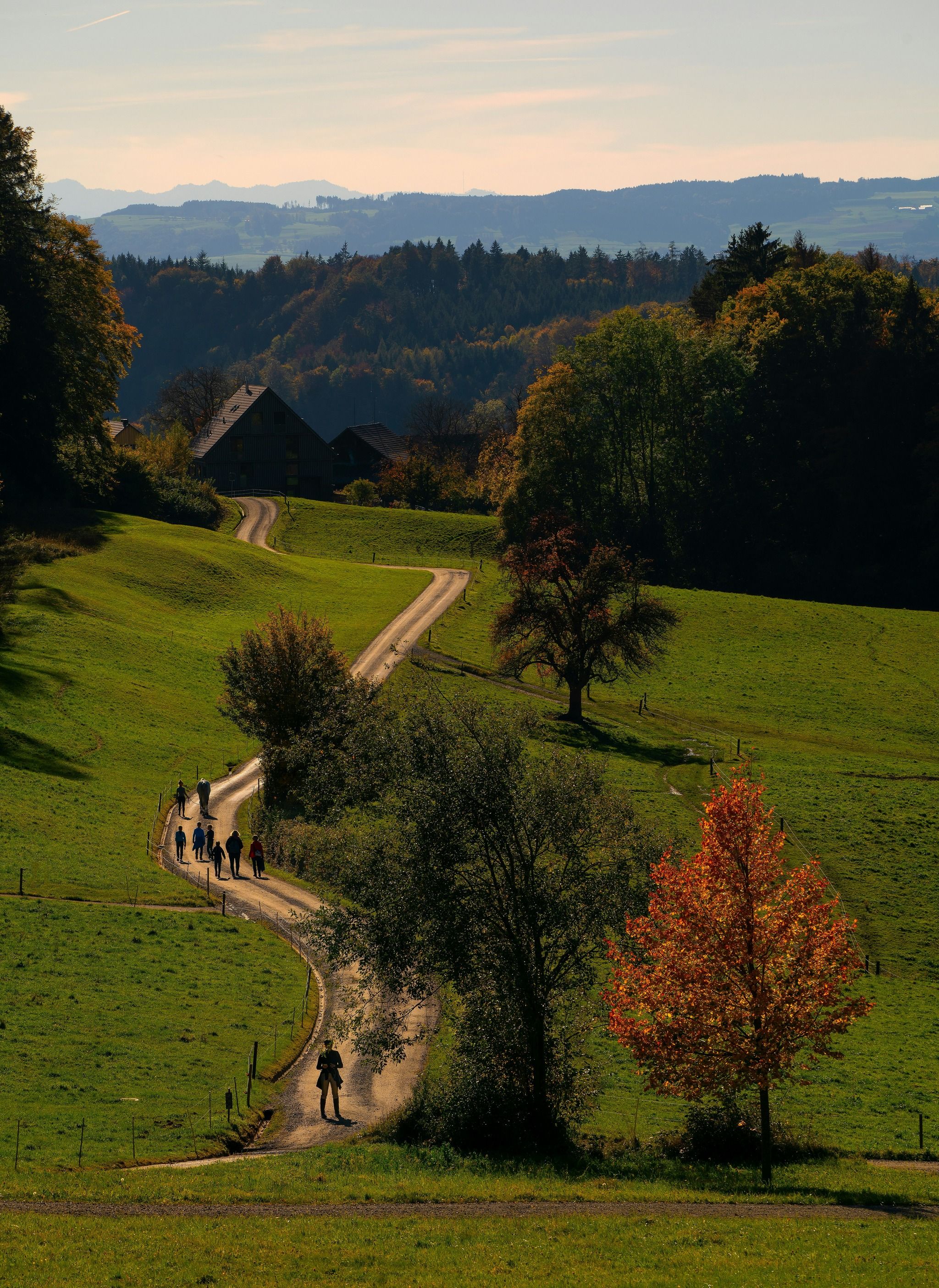 Adliswil-Felsenegg cable car - Switzerland - Rexby