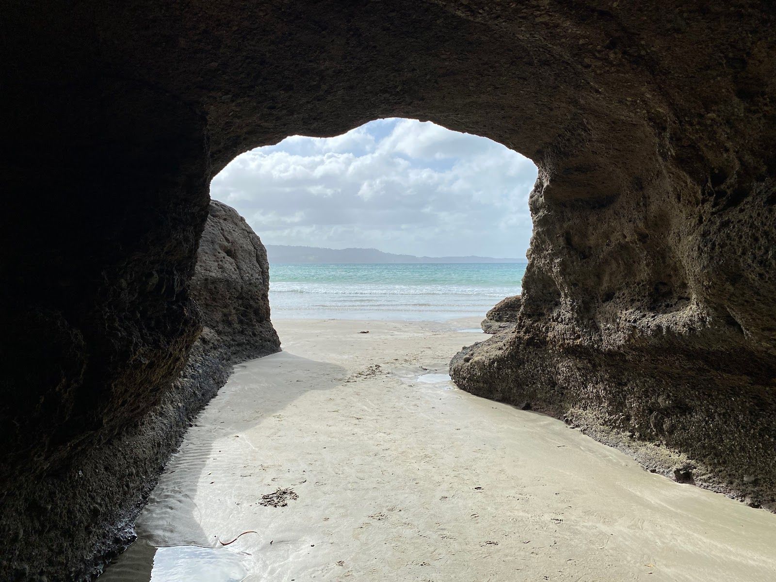 Tawharanui Marine Reserve