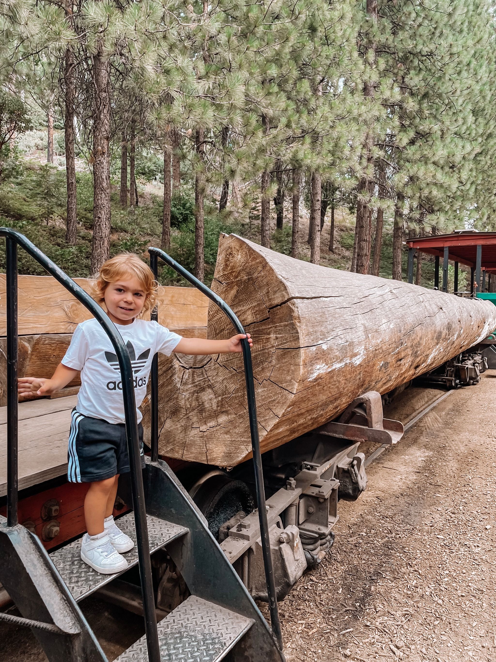 Sugar Pine Railroad