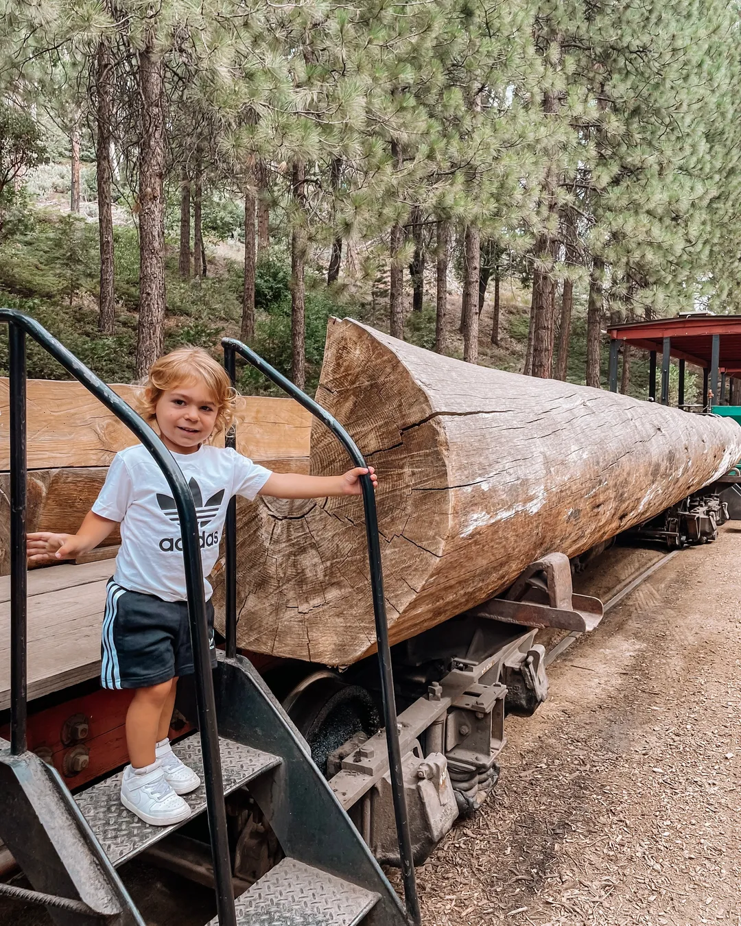 Sugar Pine Railroad