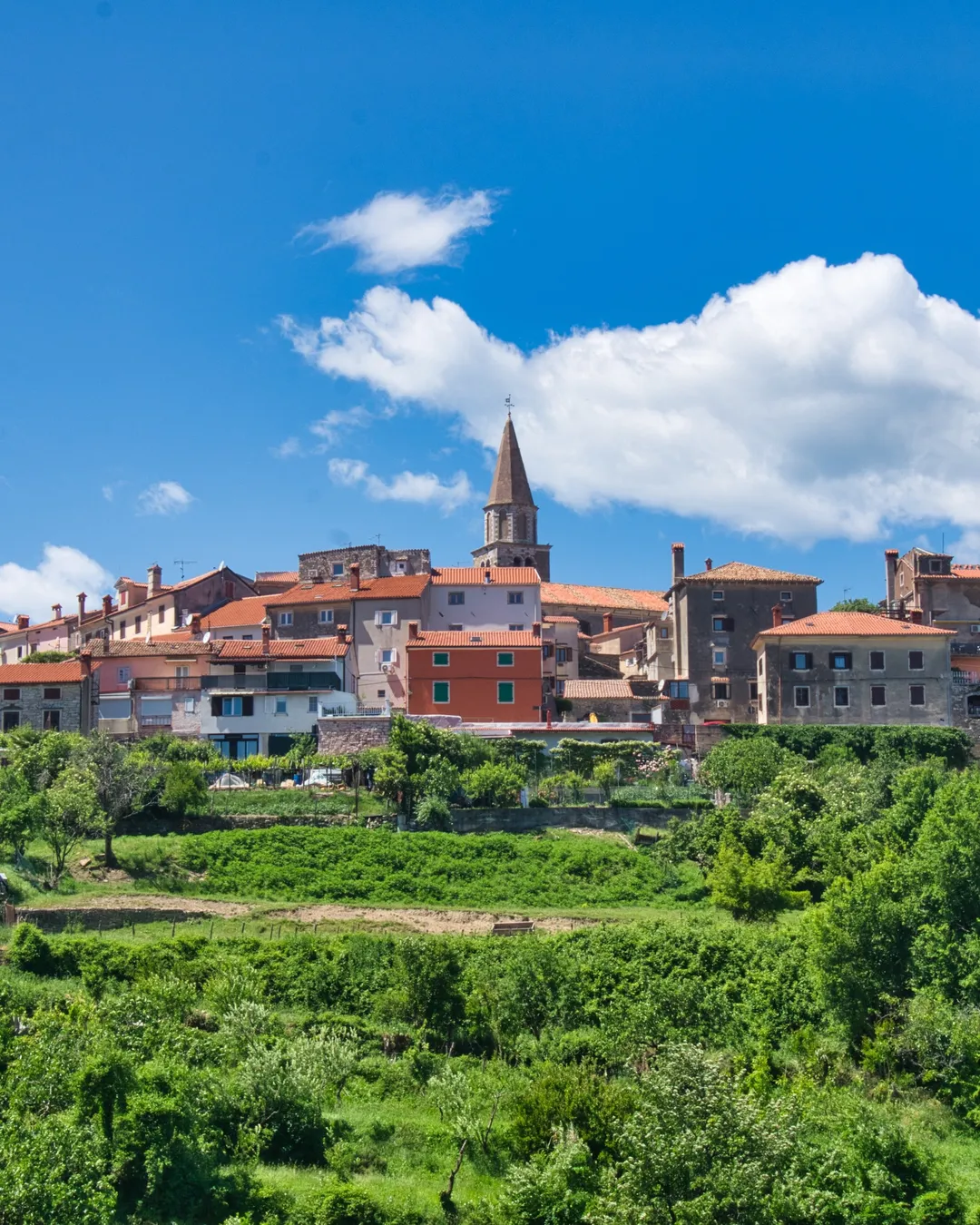 Buje