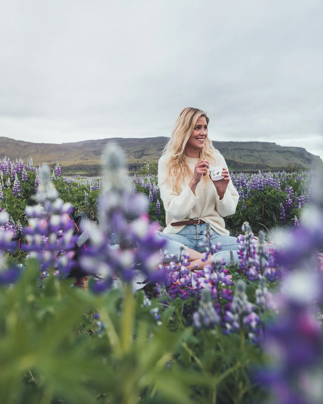 Lupine Field - Seljalandsfoss