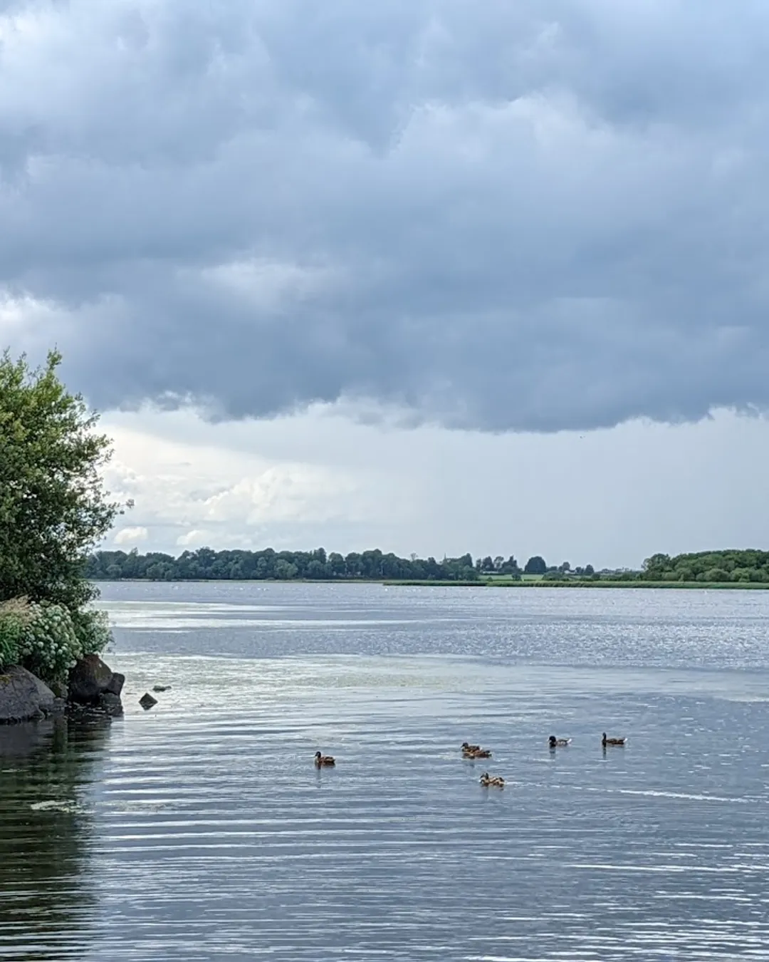 Oxford Island Nature Reserve