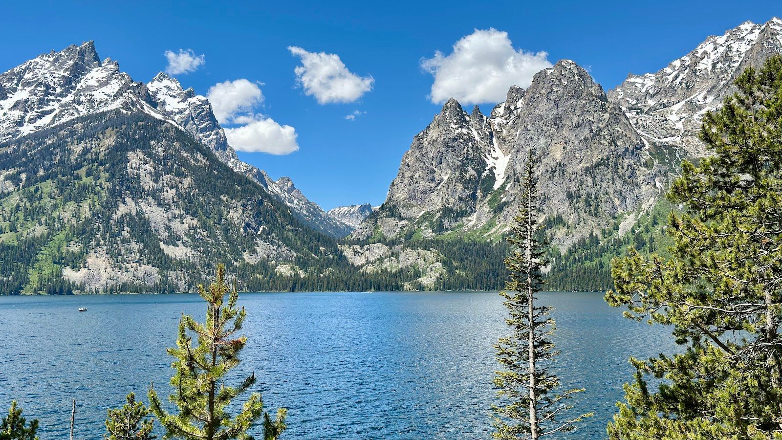 Jenny Lake Overlook
