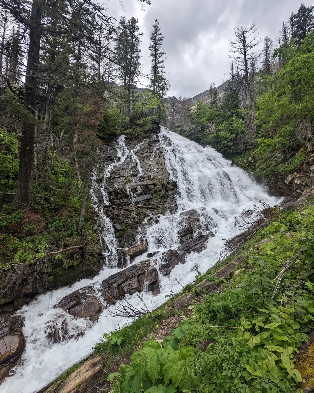 Bertha Trailhead