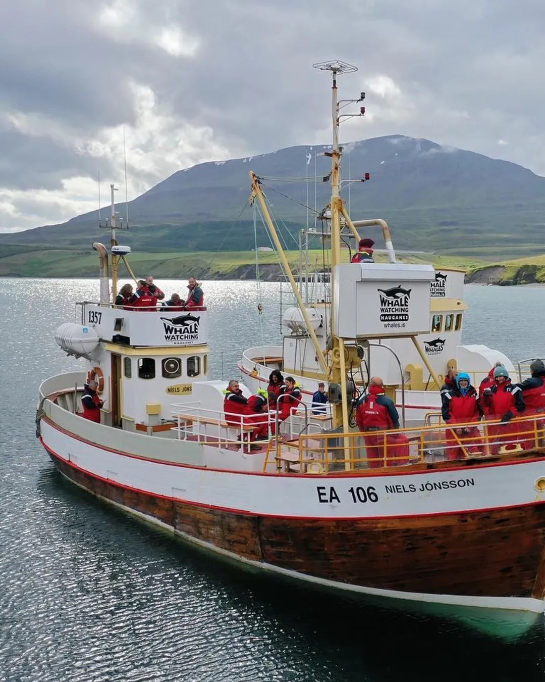 Whale Watching Hauganes