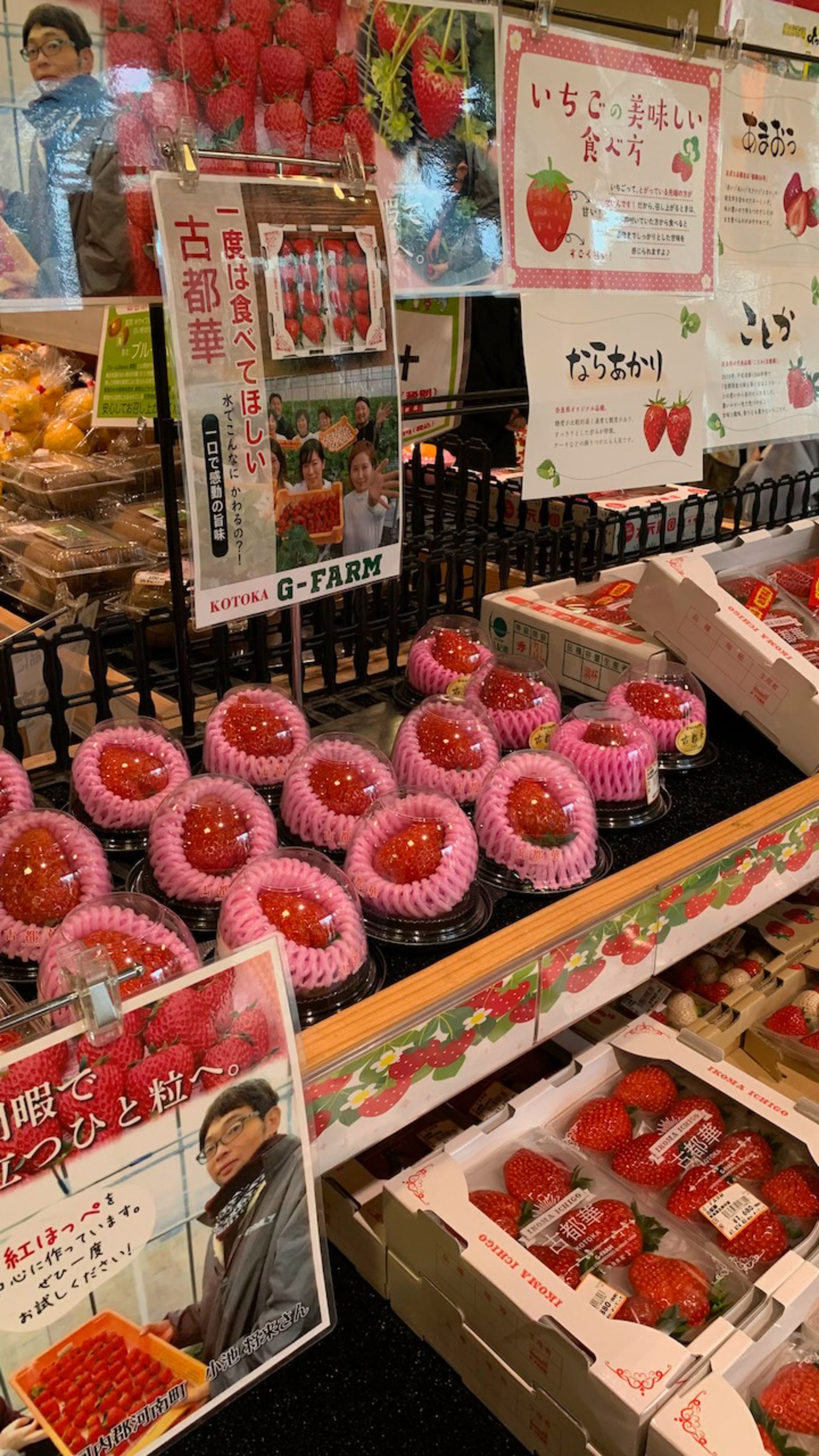 産直市場よってって てんしば店 Ten-Shiba Marche Yottette