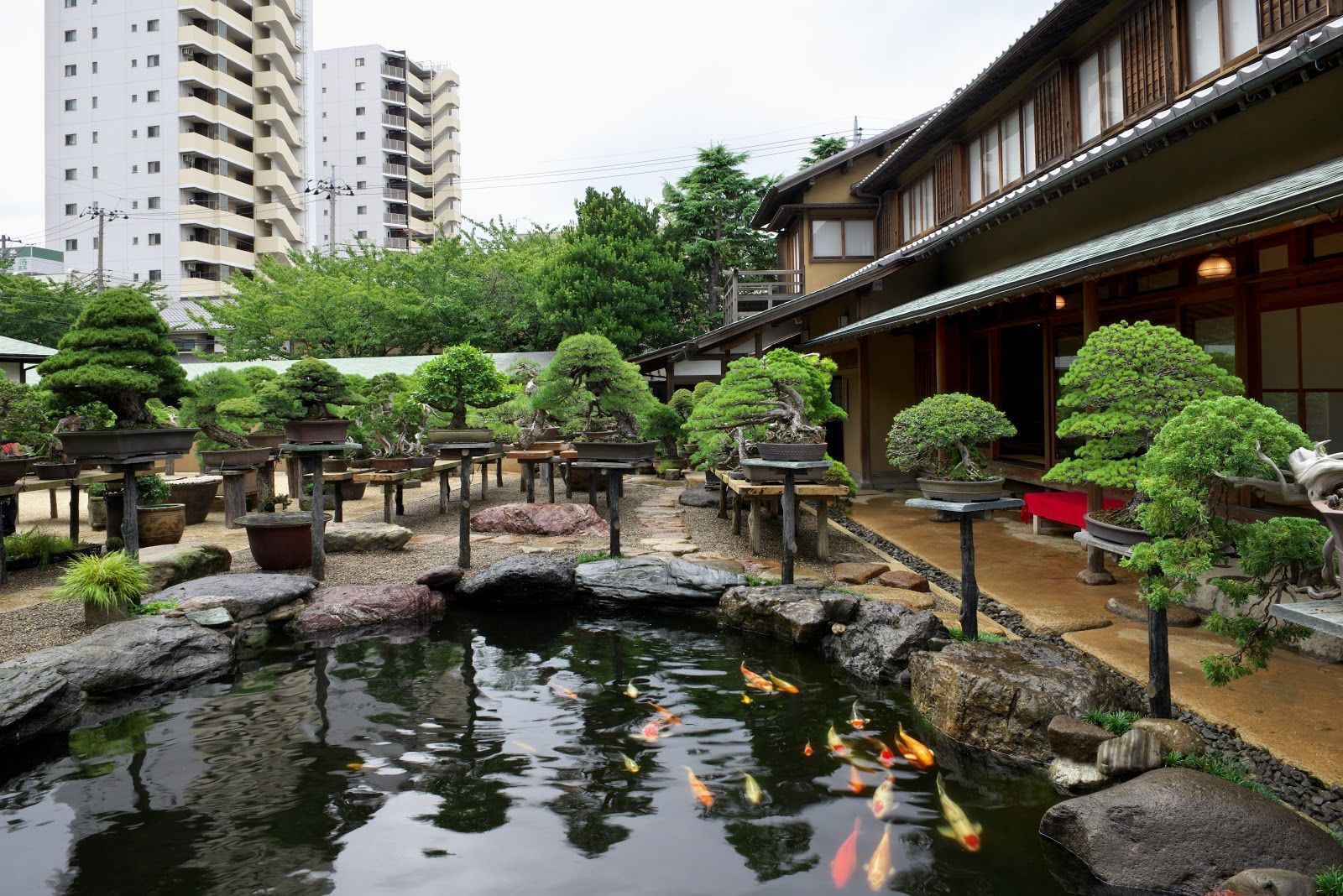 Shunkaen Bonsai Museum - Japan, Japan - Rexby