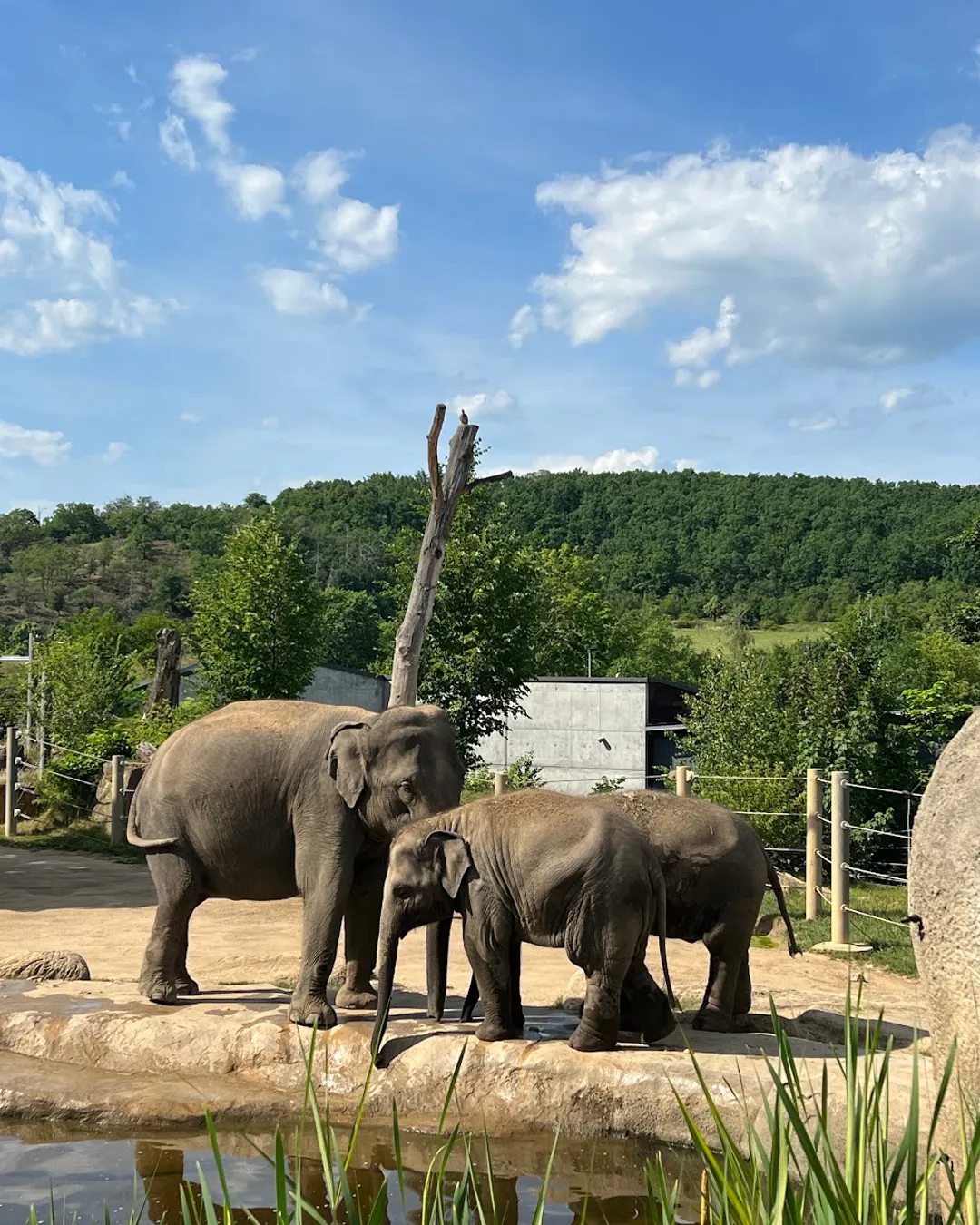 Zoo Prague