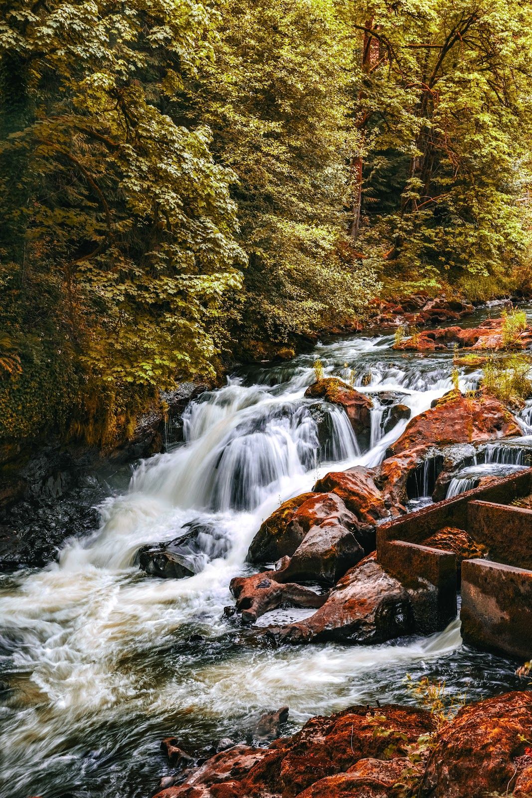 Falls Creek Falls - Washington, United States - Rexby