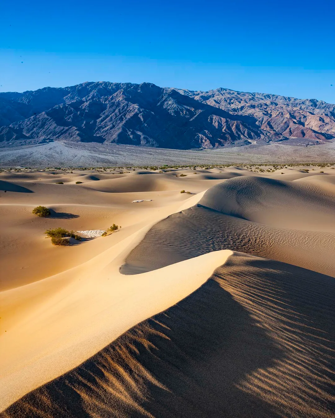 Mesquite Flat Sand Dunes