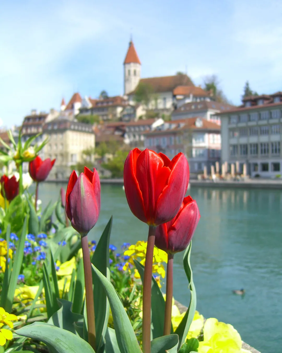 Thun village