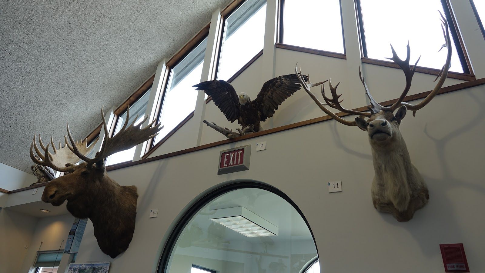 Kenai Chamber of Commerce and Visitors Center