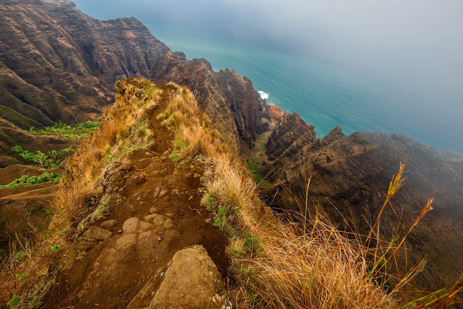 Awaʻawapuhi Trail