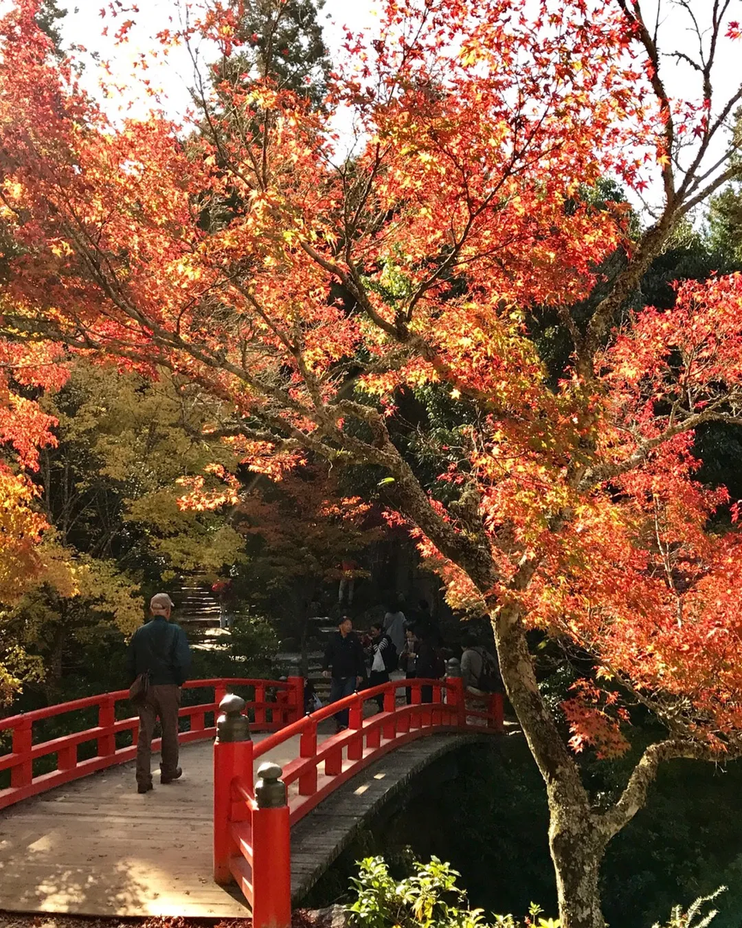 Momijidani Park