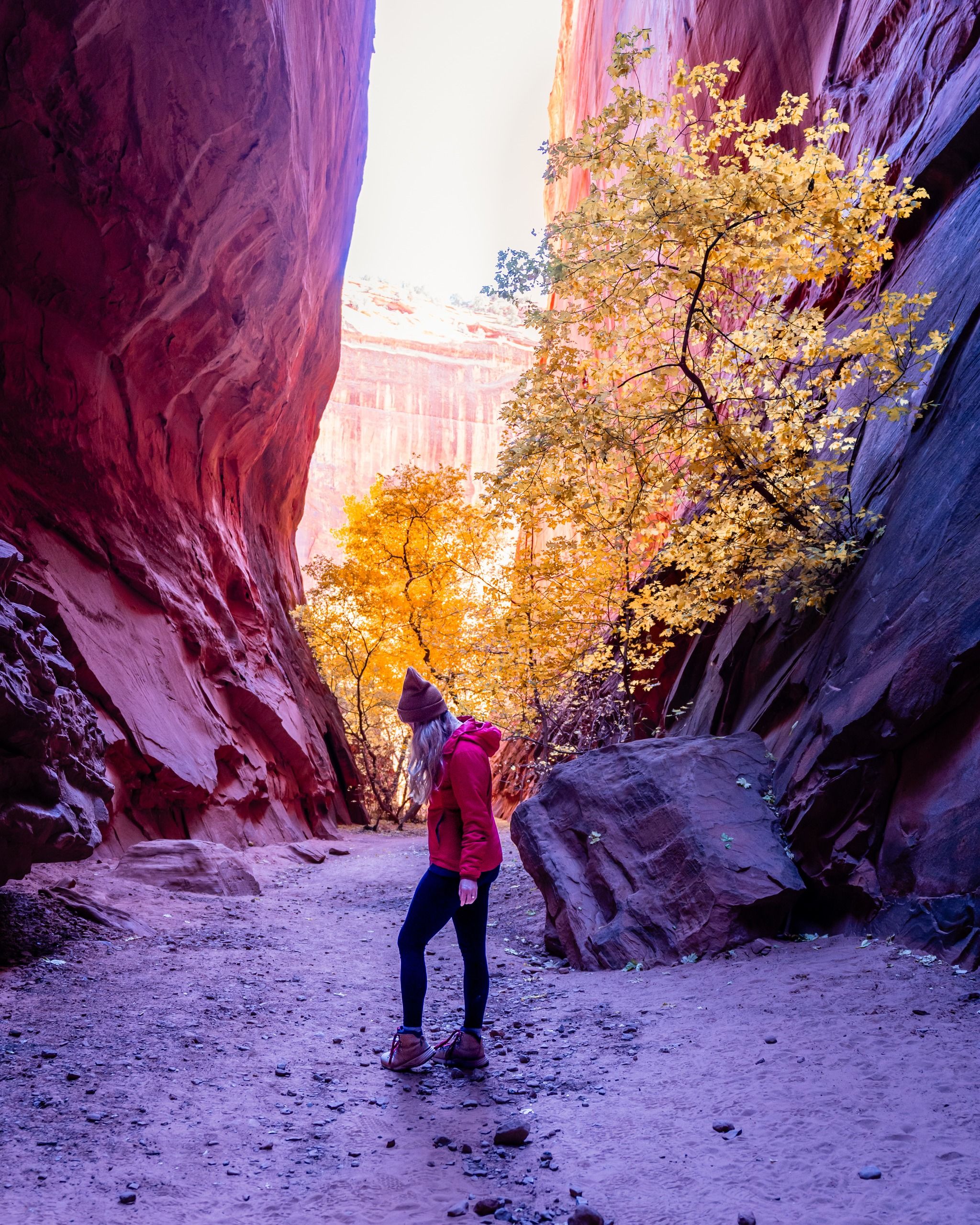 Singing Canyon