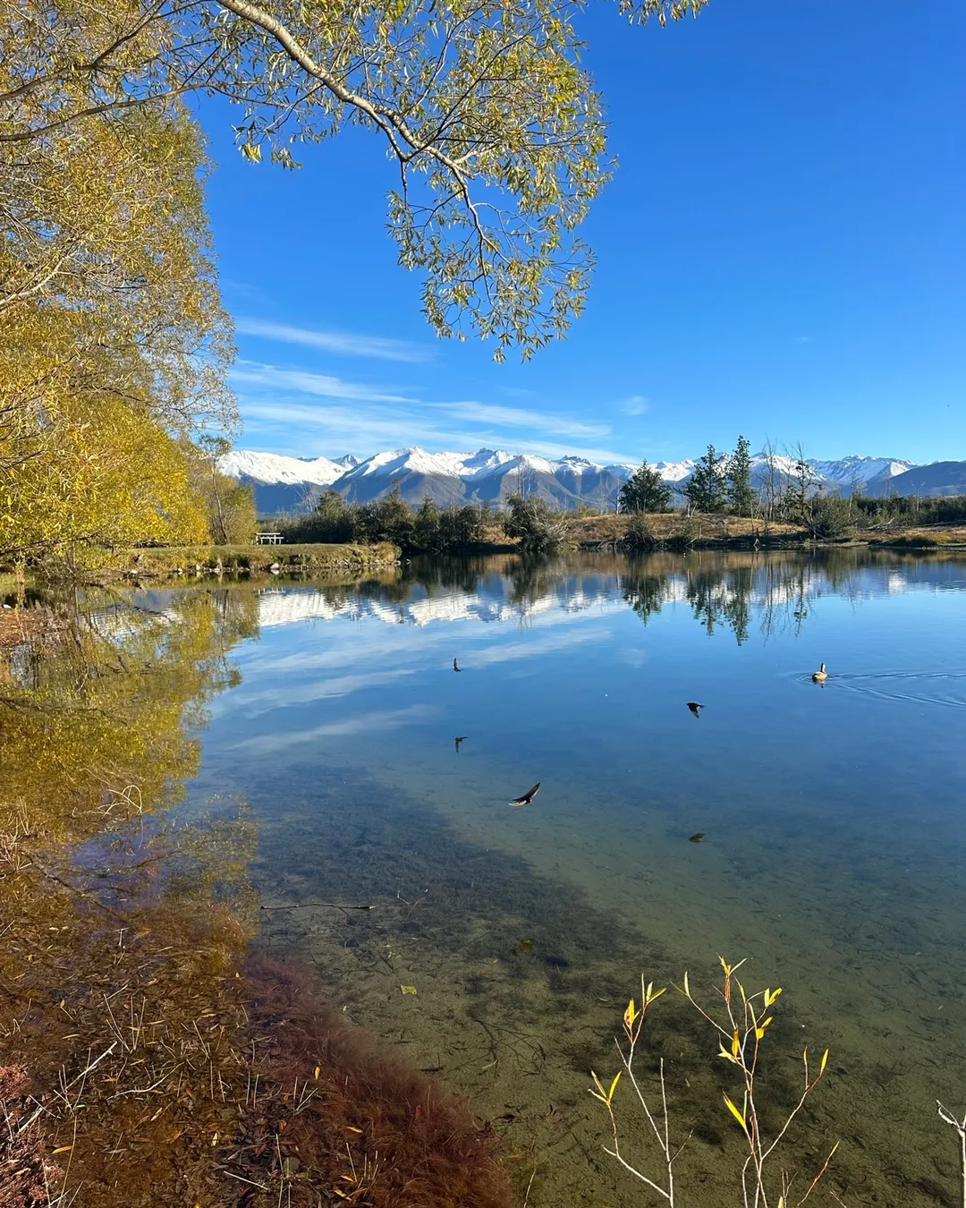 Lake Poaka Campsite