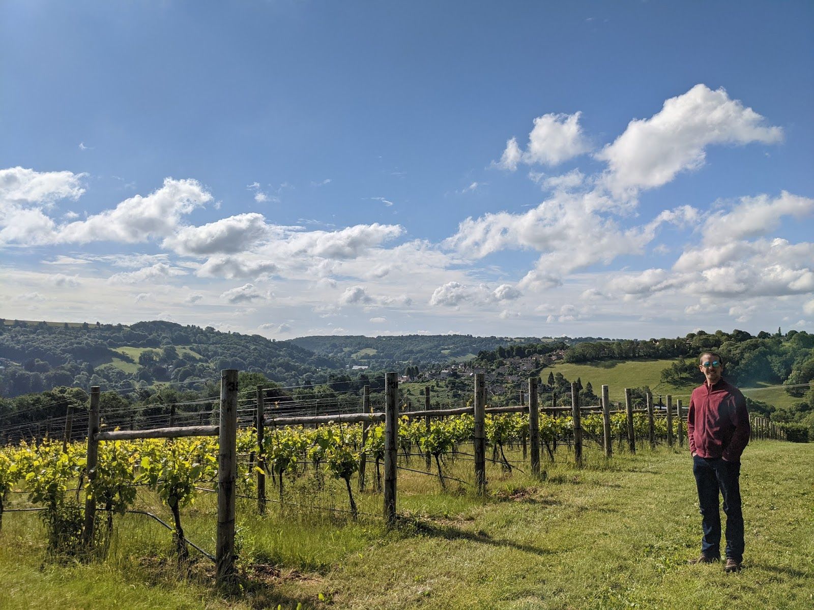 Woodchester Valley Vineyard