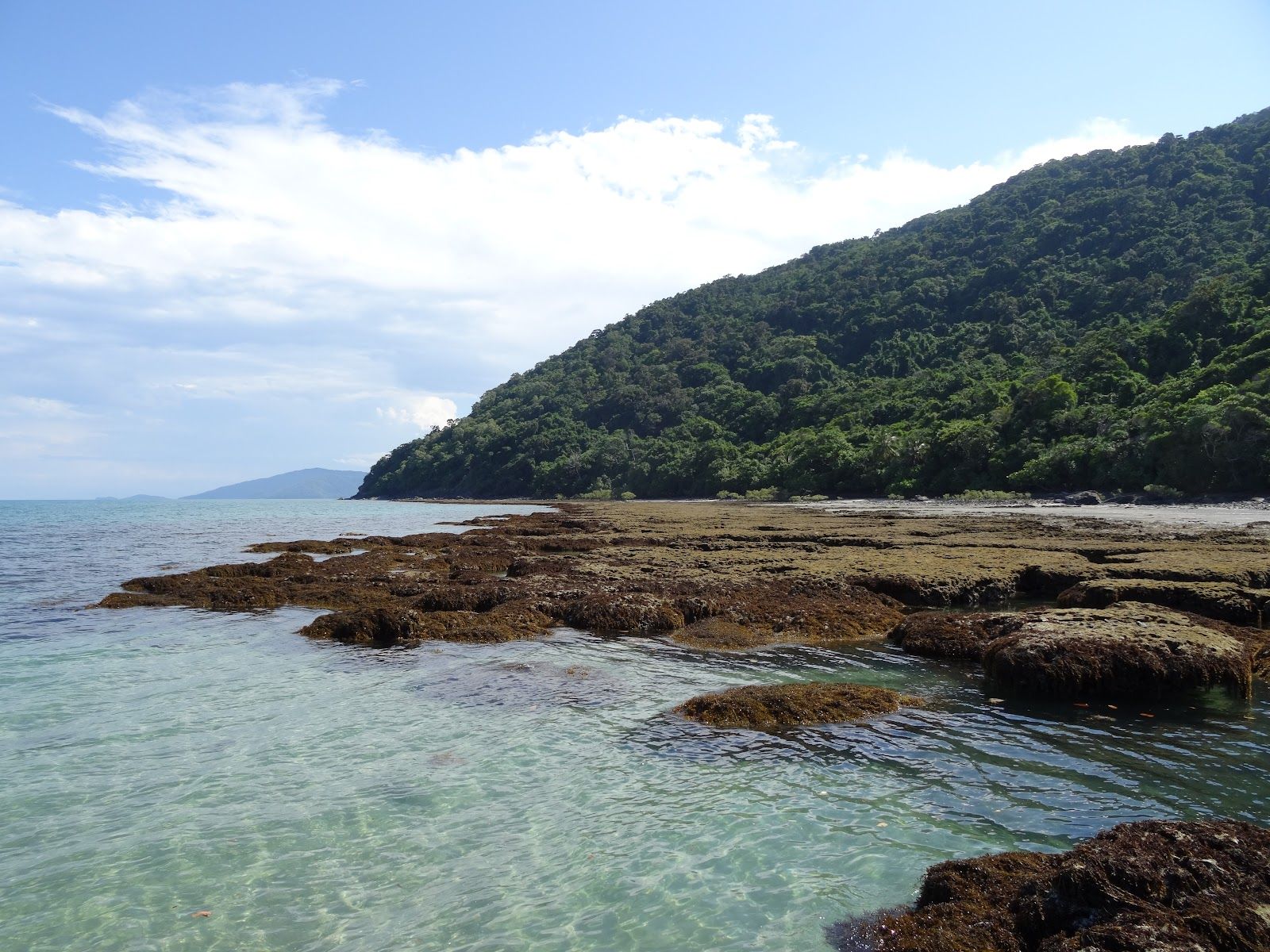 Cape Tribulation