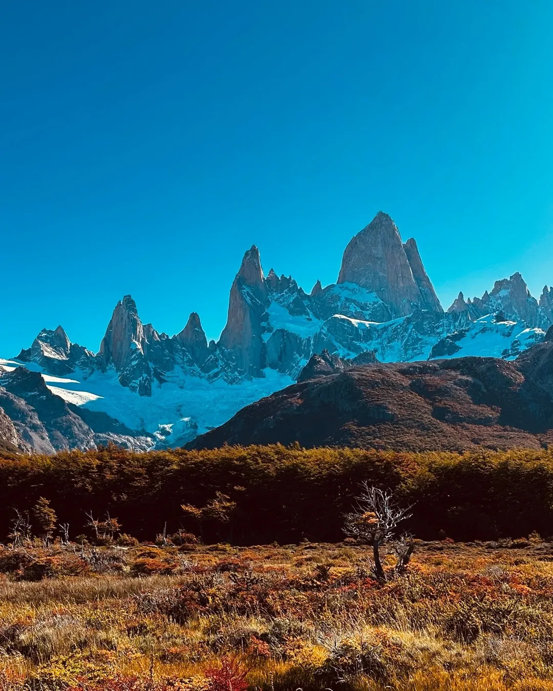 Fitz Roy