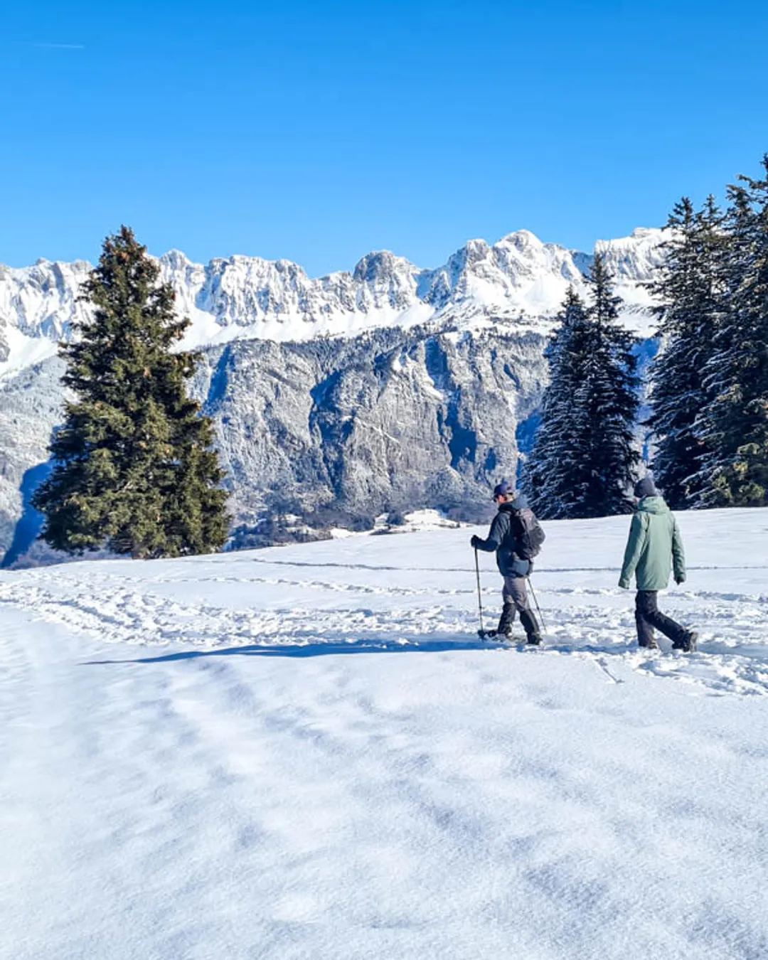 Schönhalden Snowshoe Gampergalt