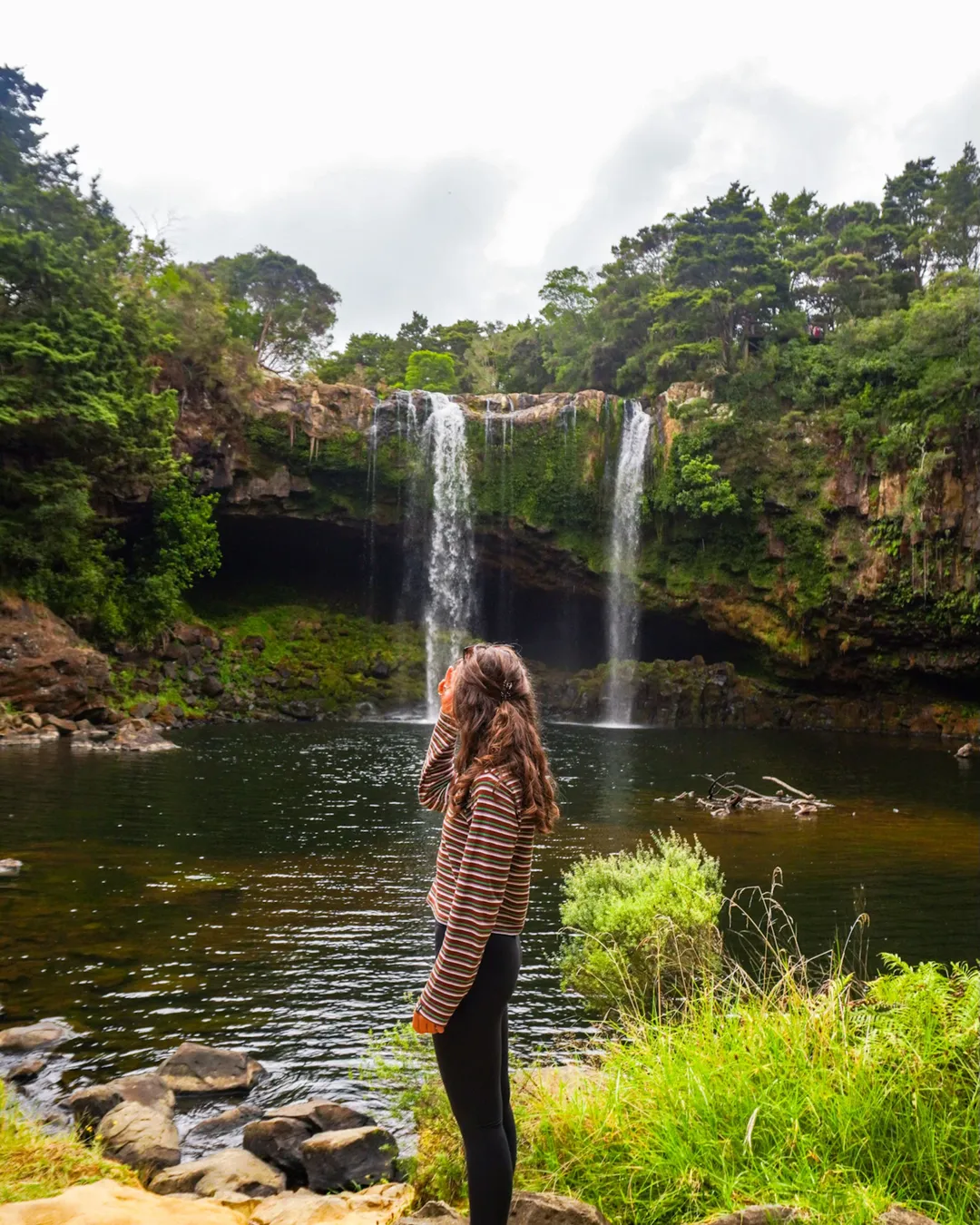 Rainbow Falls (Waianiwaniwa)