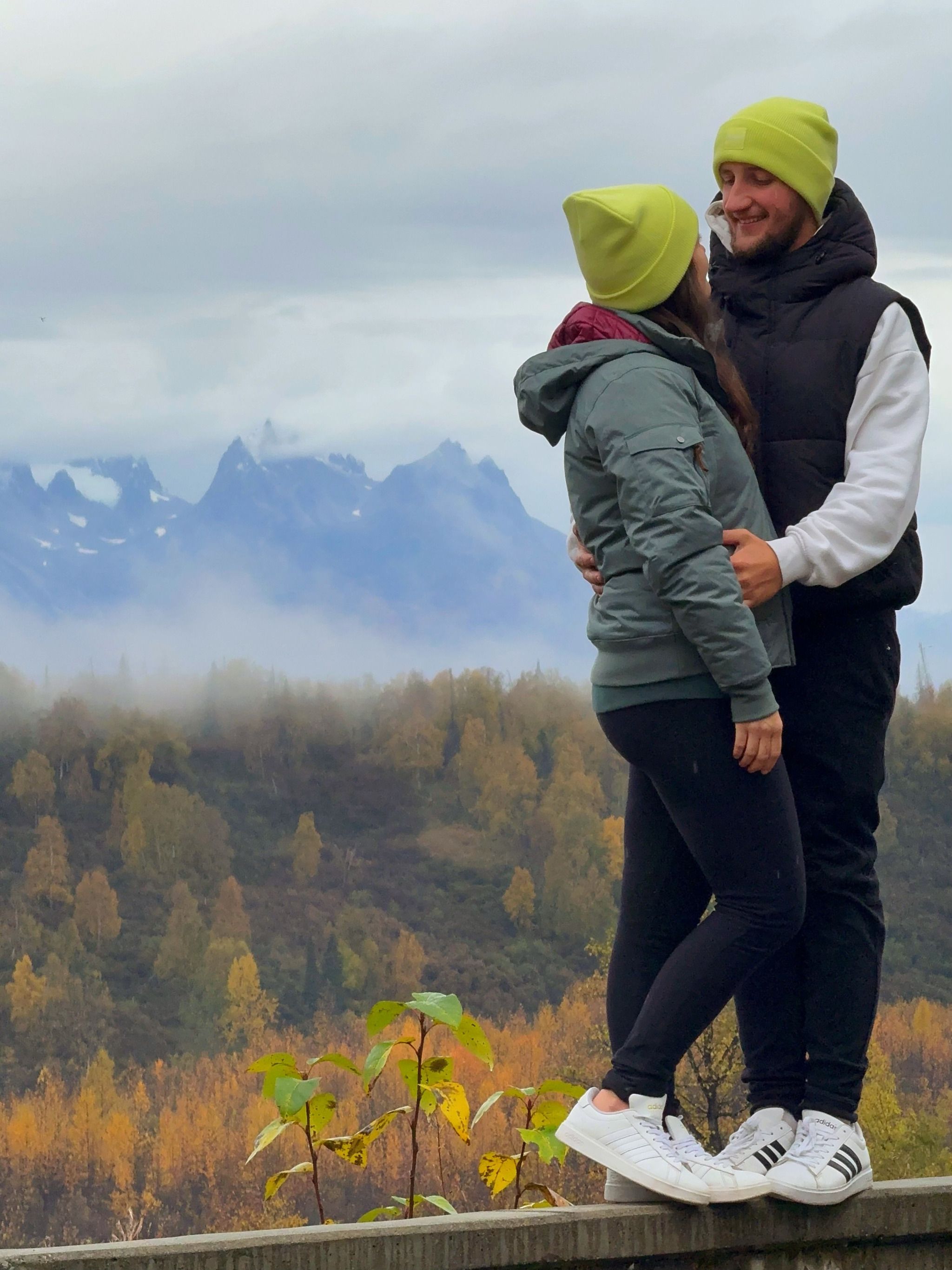 Denali Viewpoint South