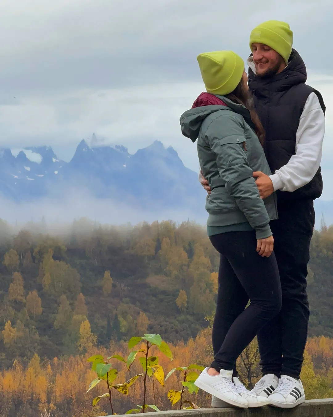 Denali Viewpoint South