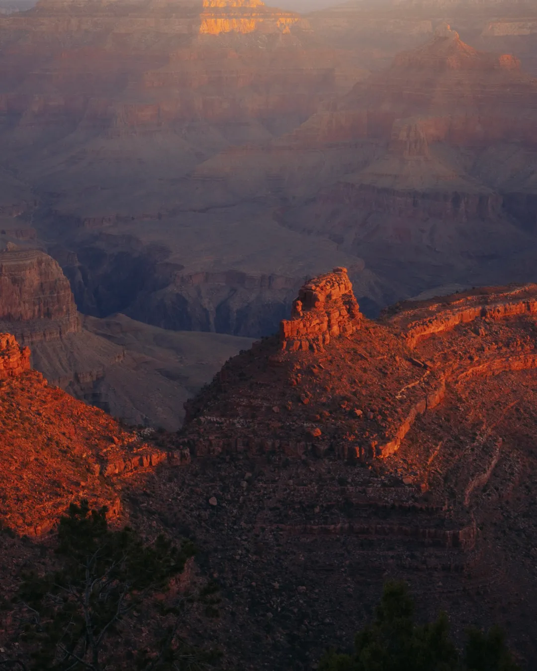 Grand Canyon National Park, South Rim