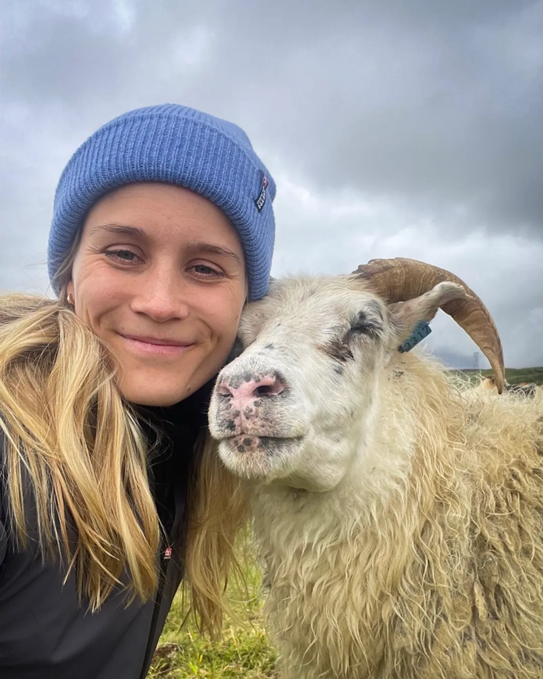 Leader Sheep Experience