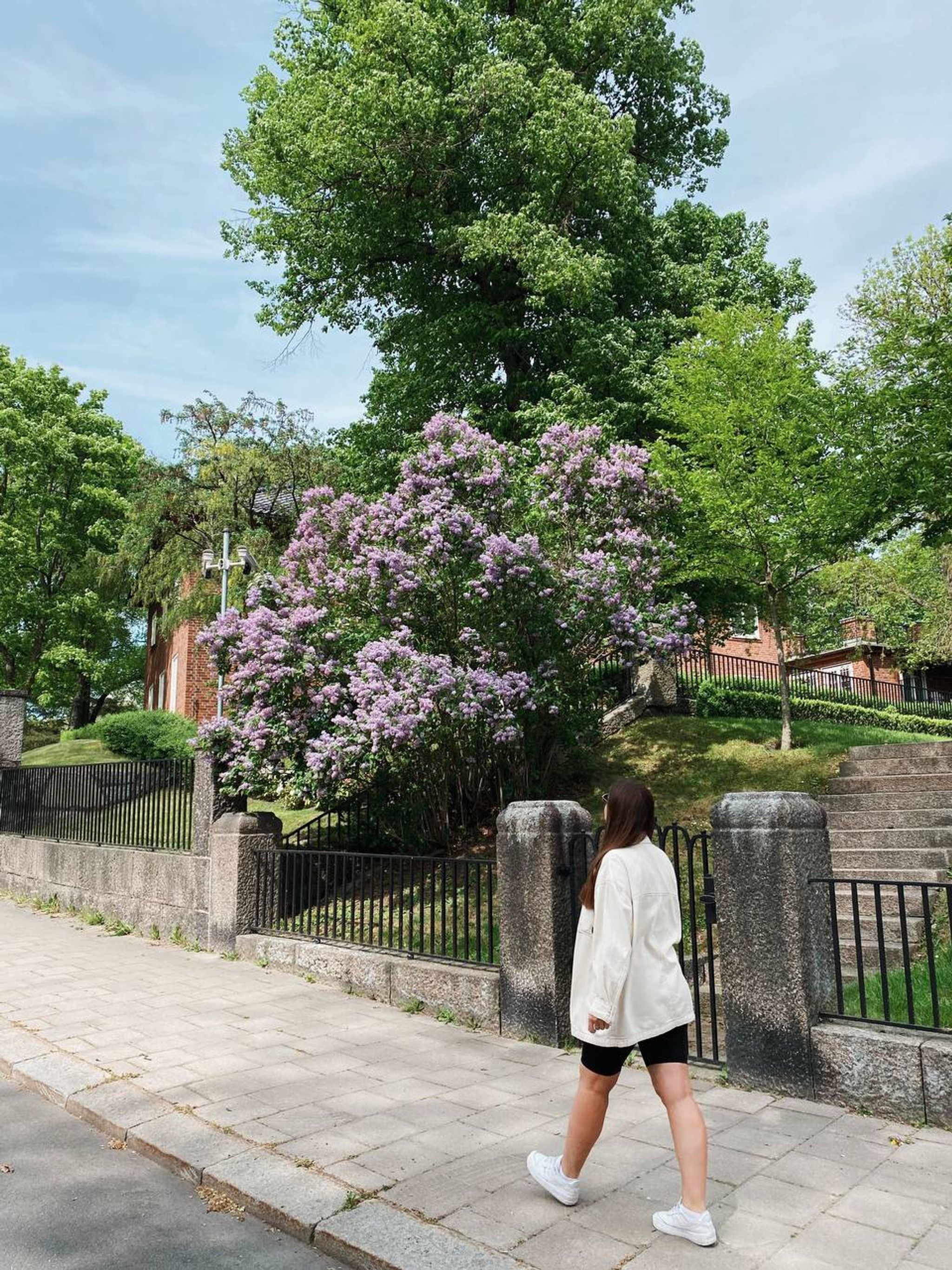 Rosendals Trädgård