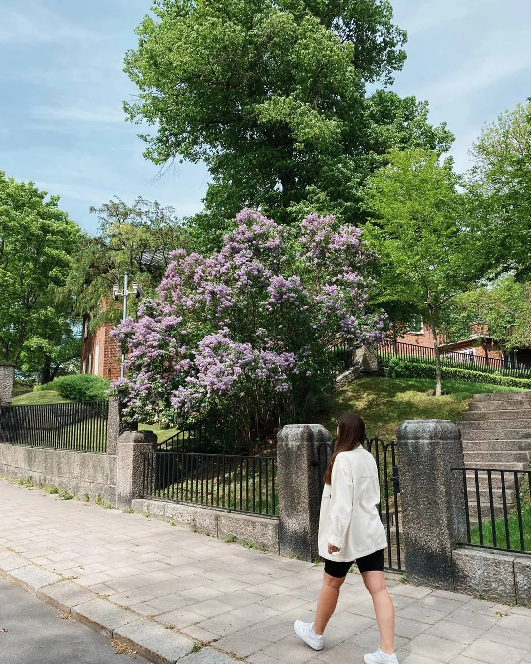 Rosendals Trädgård