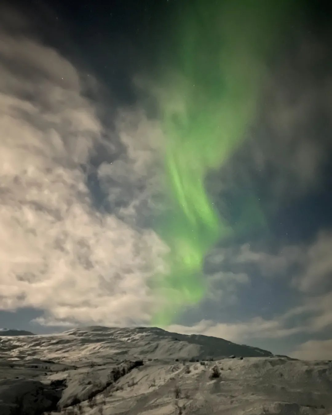 Northern lights hunting tour to Abisko