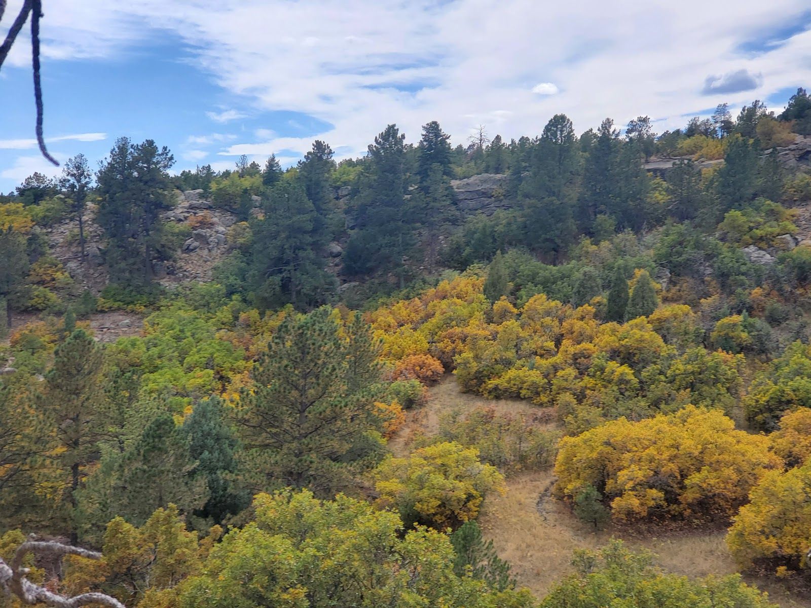 Ute Valley Open Space