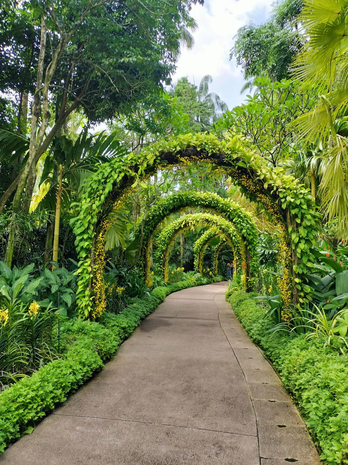 National Orchid Garden