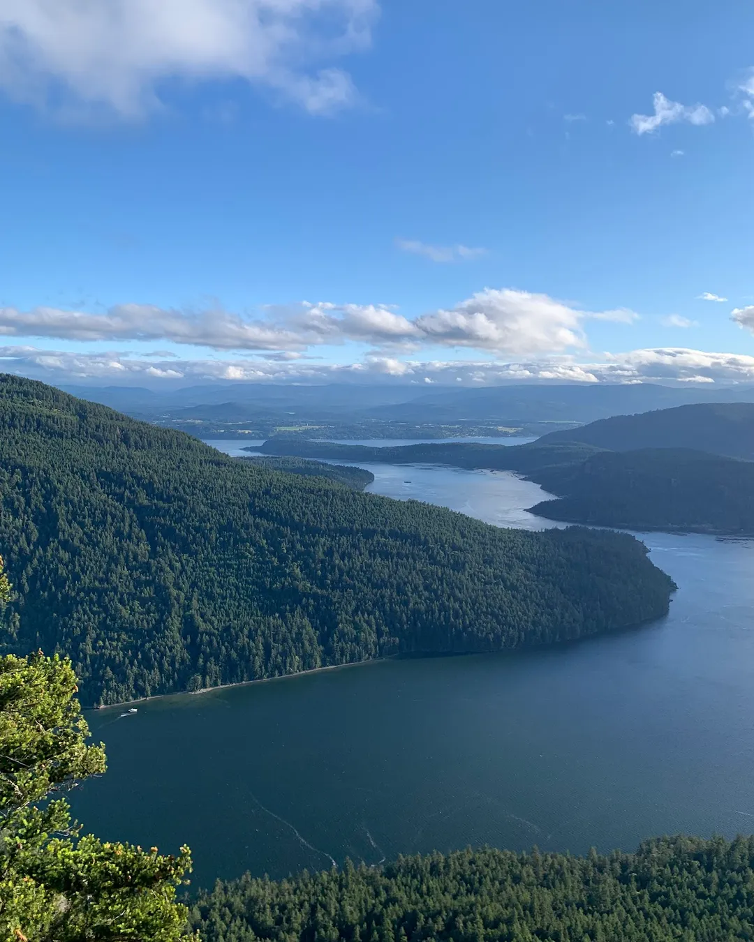 Mount Maxwell Park Lookout