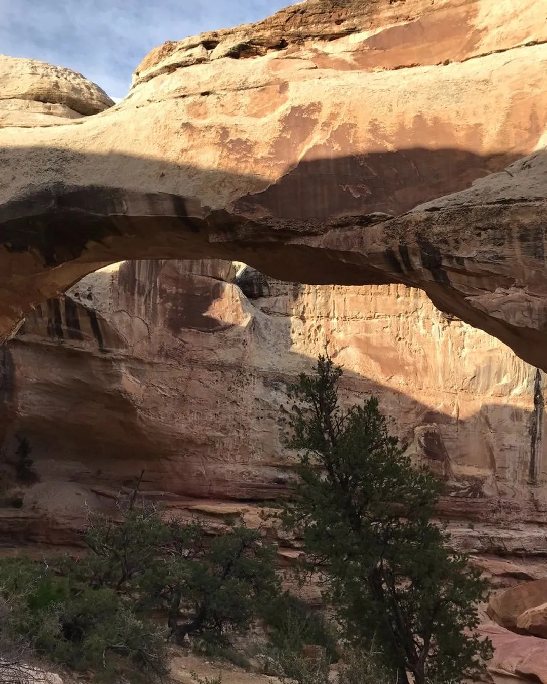 Hickman Bridge Trail