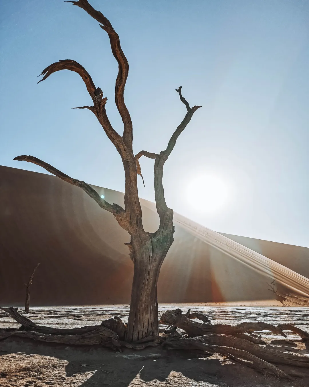 Deadvlei