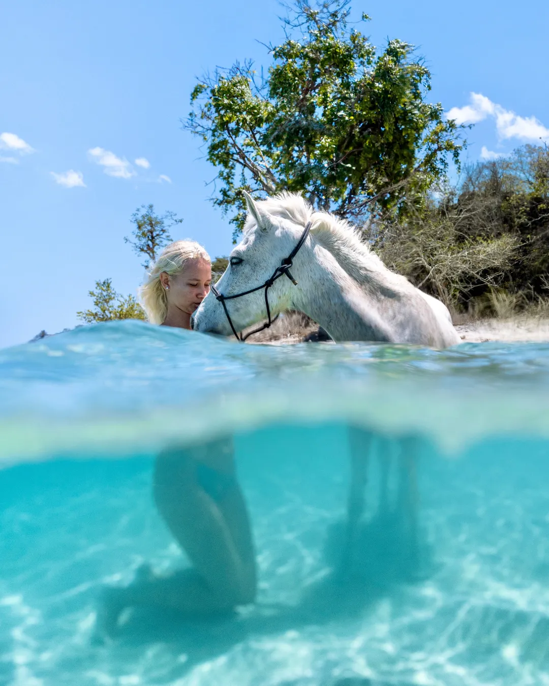 Horse Walk Gili Asahan 