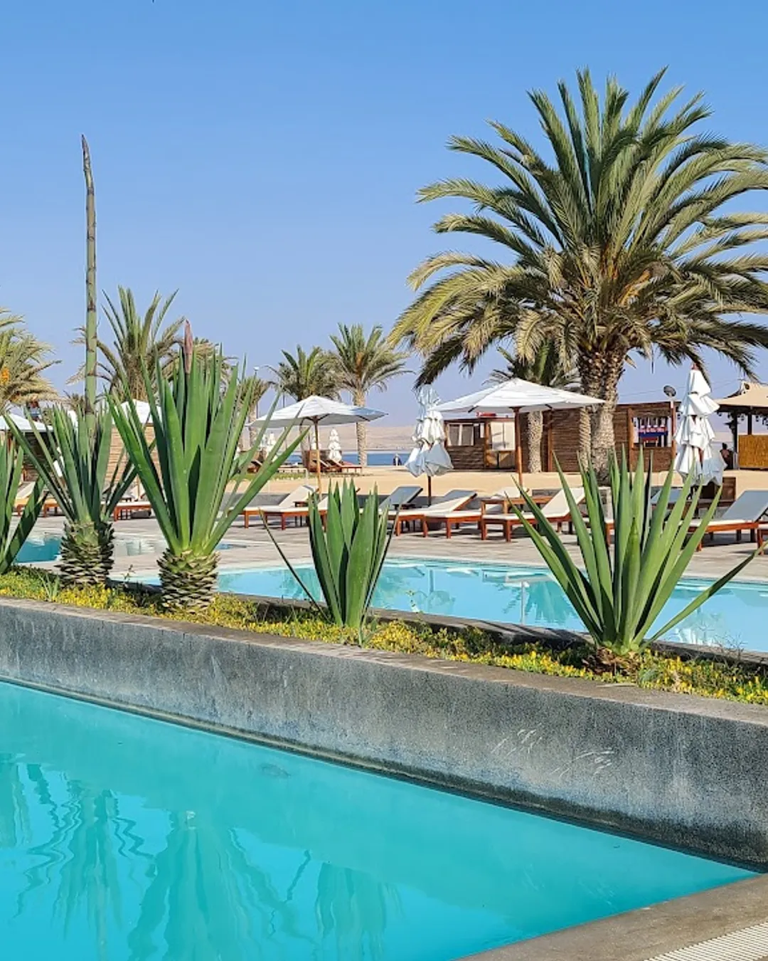 Paracas