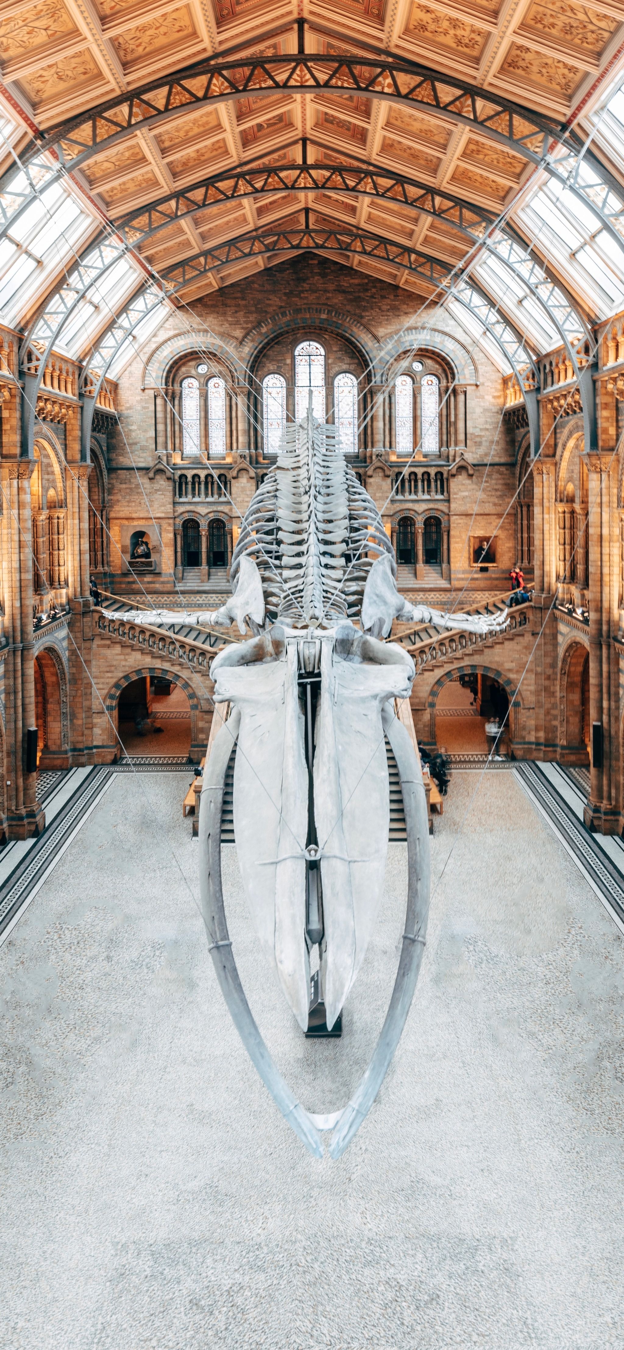 Museo di storia naturale
