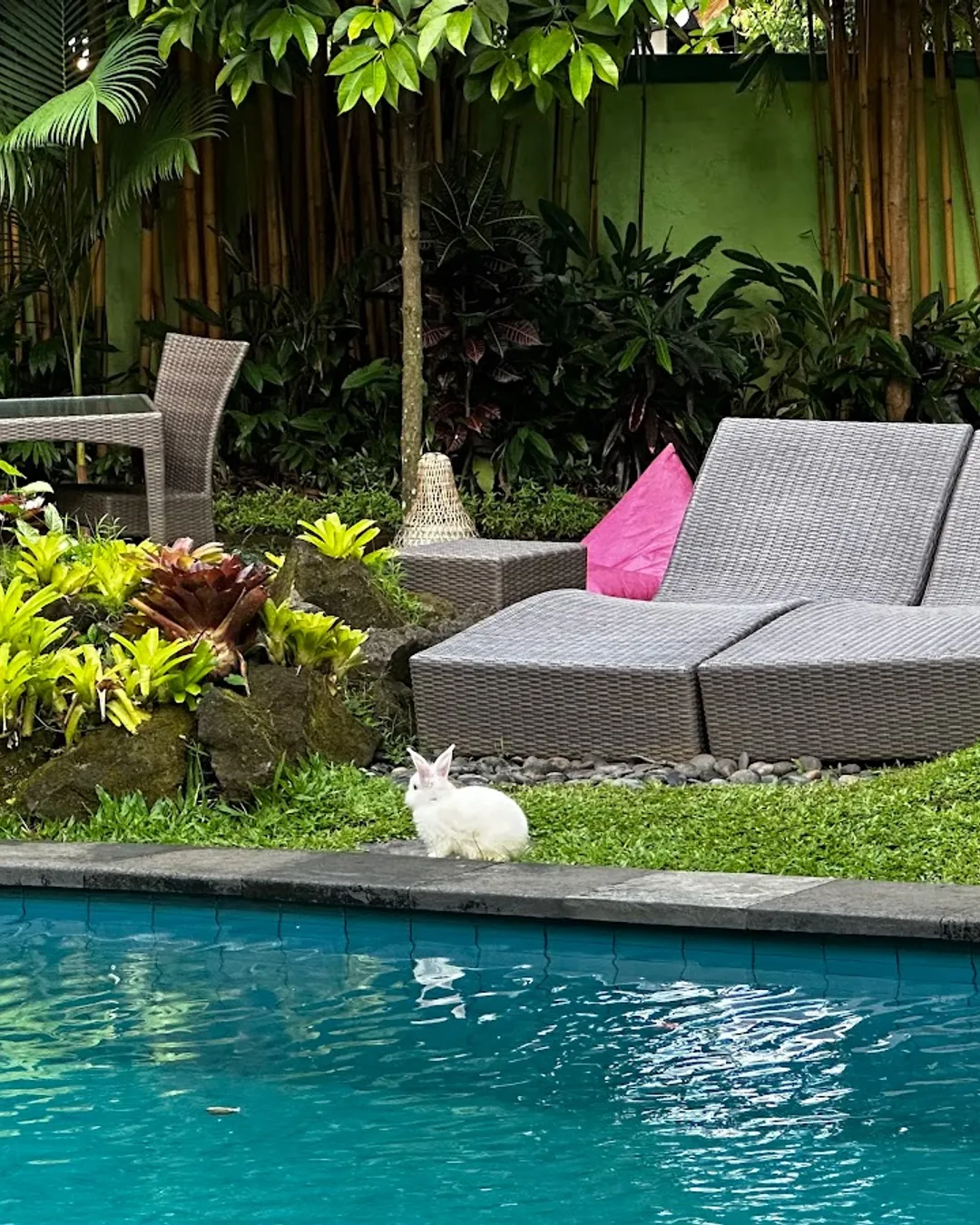 Green Bird Villa Ubud