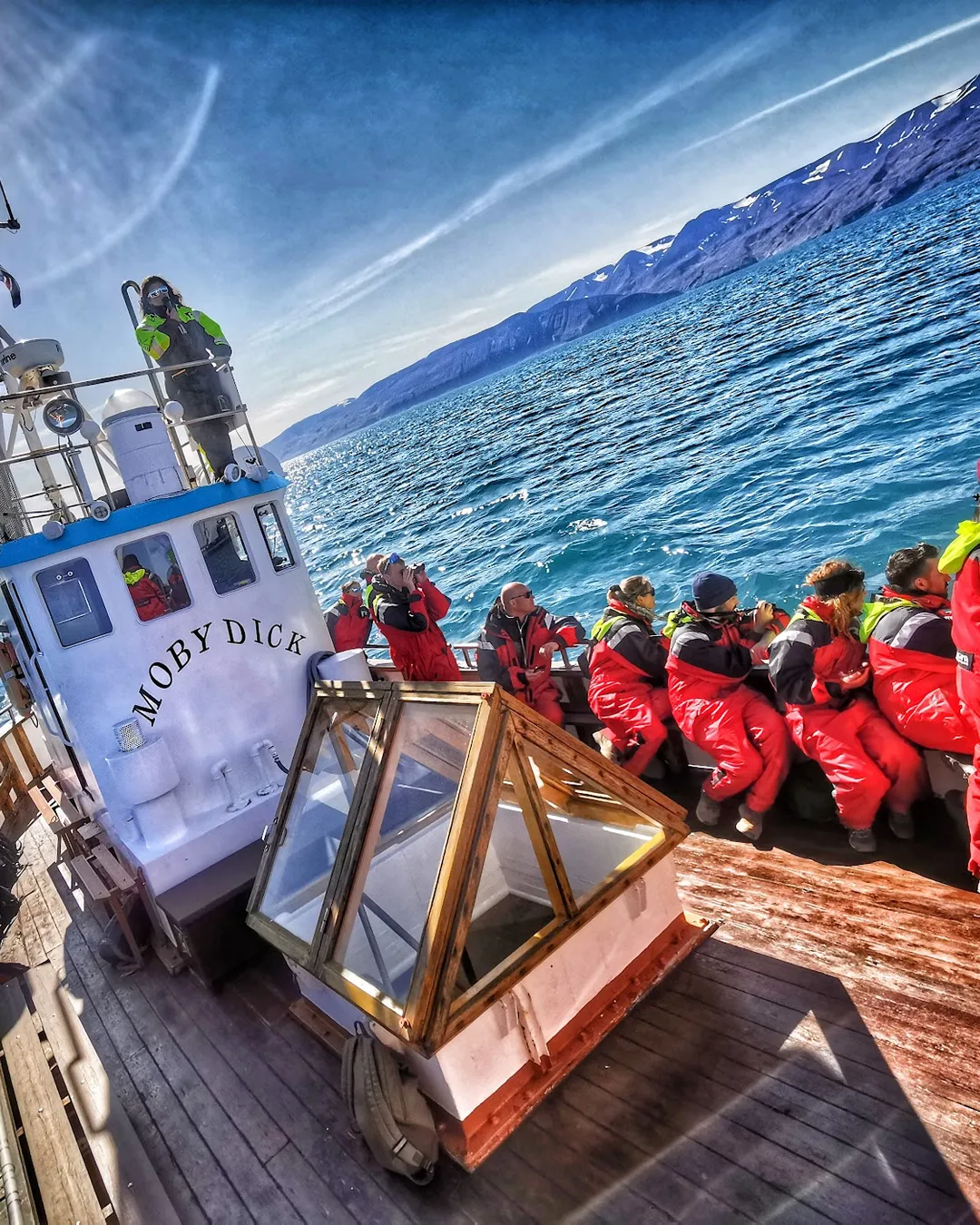 Friends of Moby Dick - Whale Watching