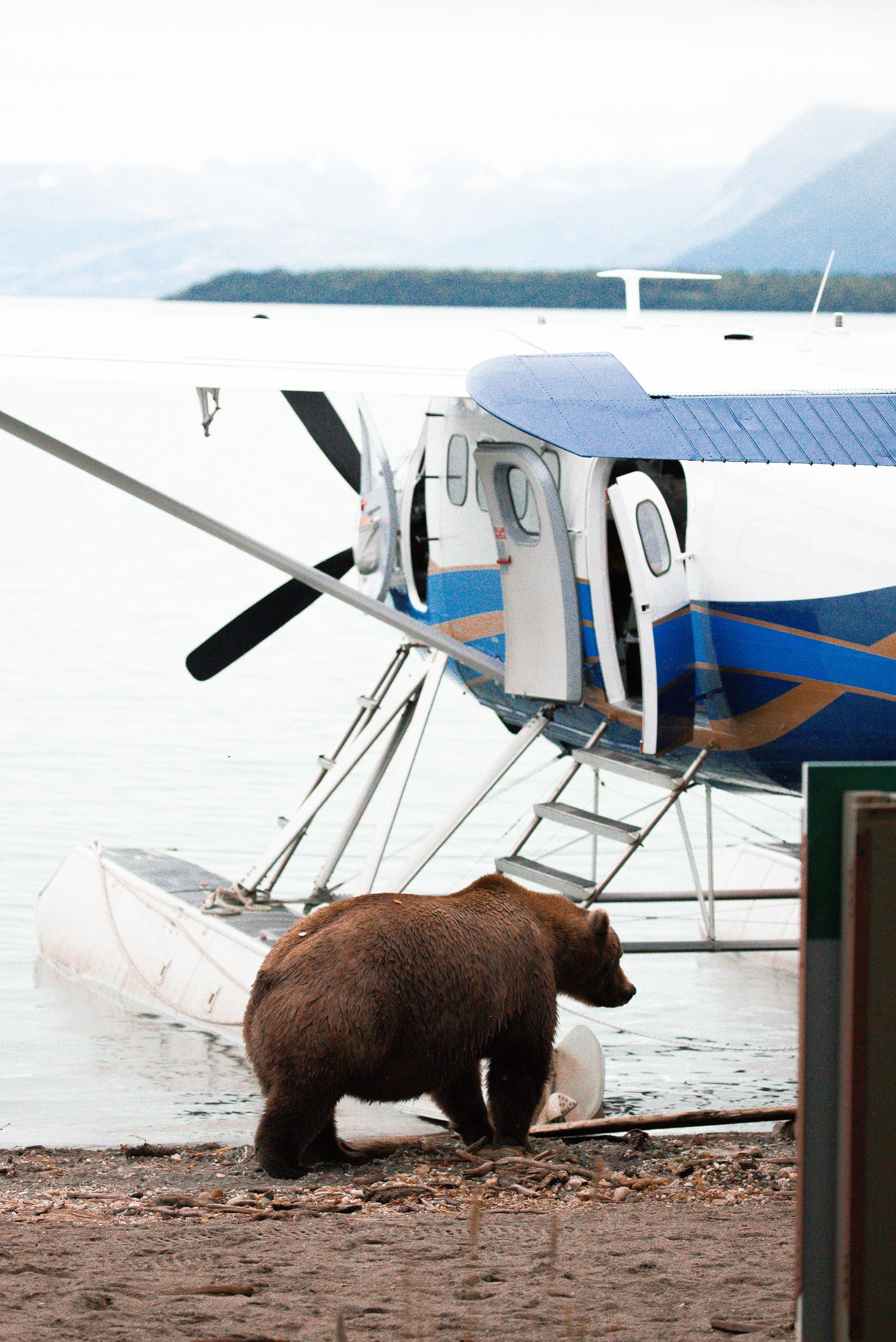 Bald Mountain Air Service