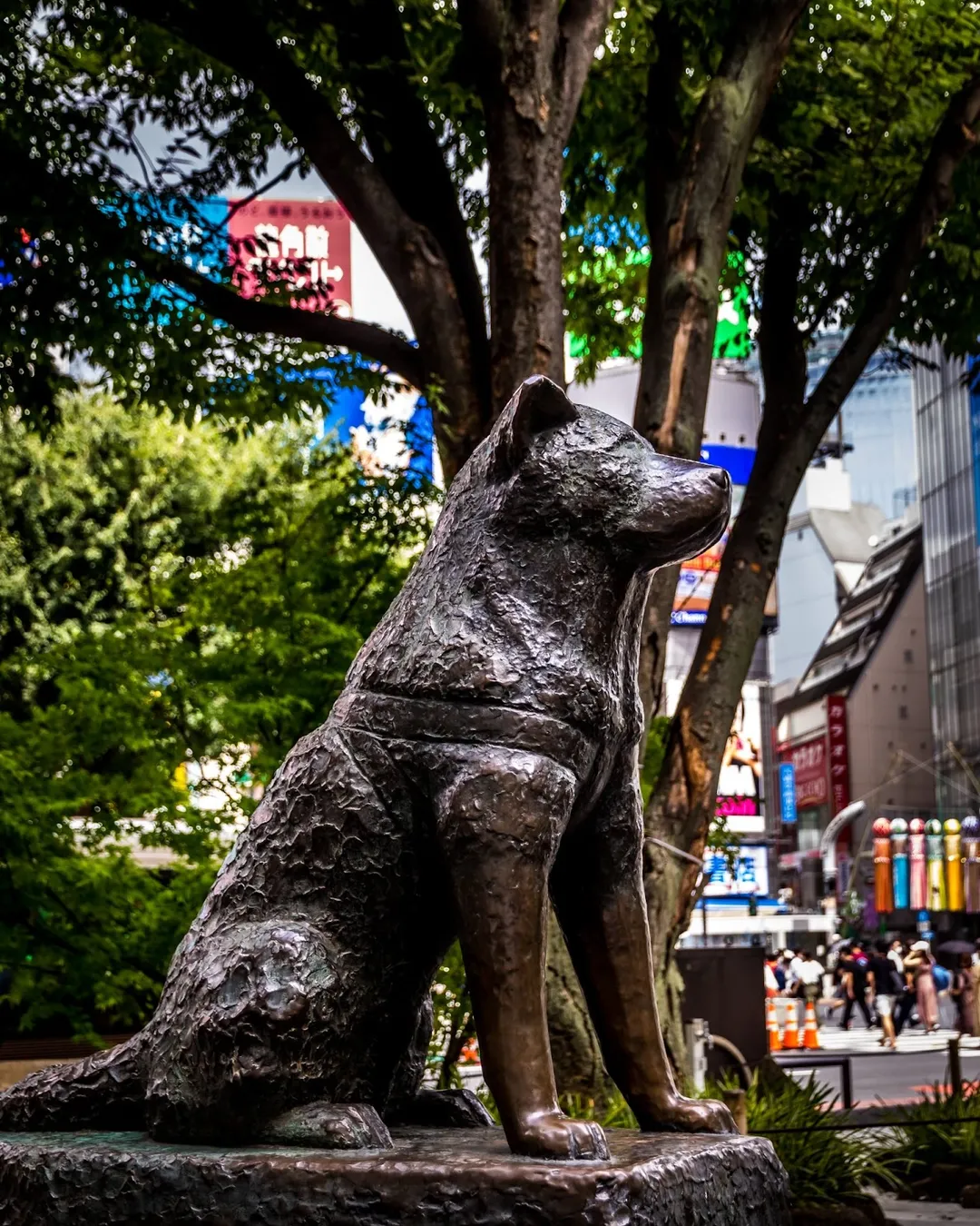 Hachikō Memorial Statue