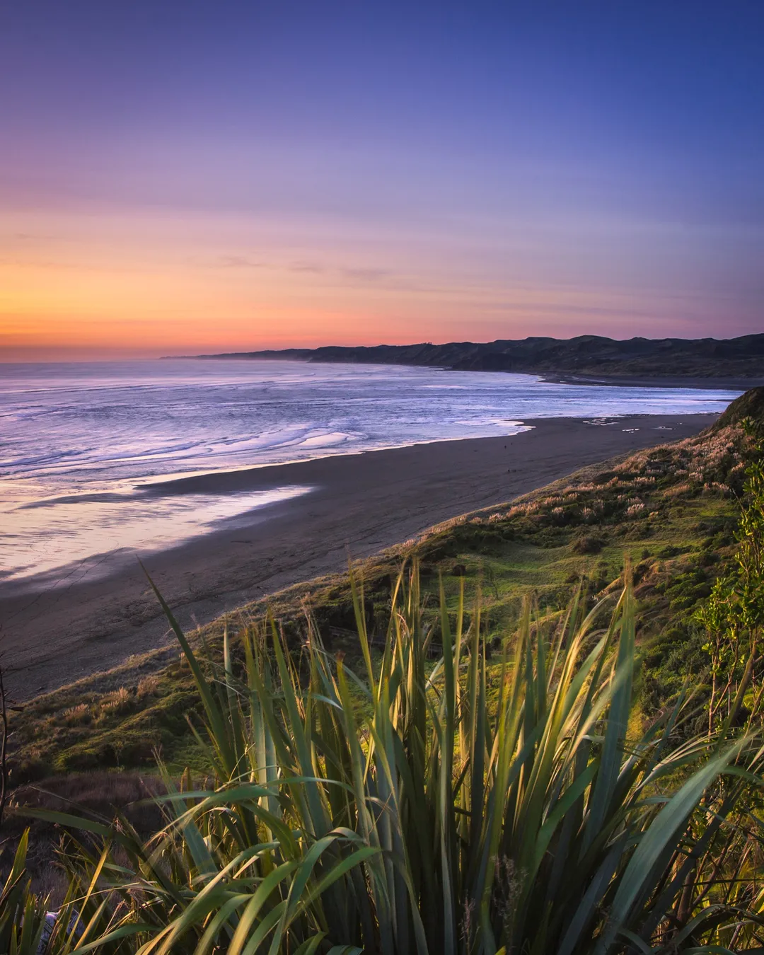 Solscape Raglan Waikato