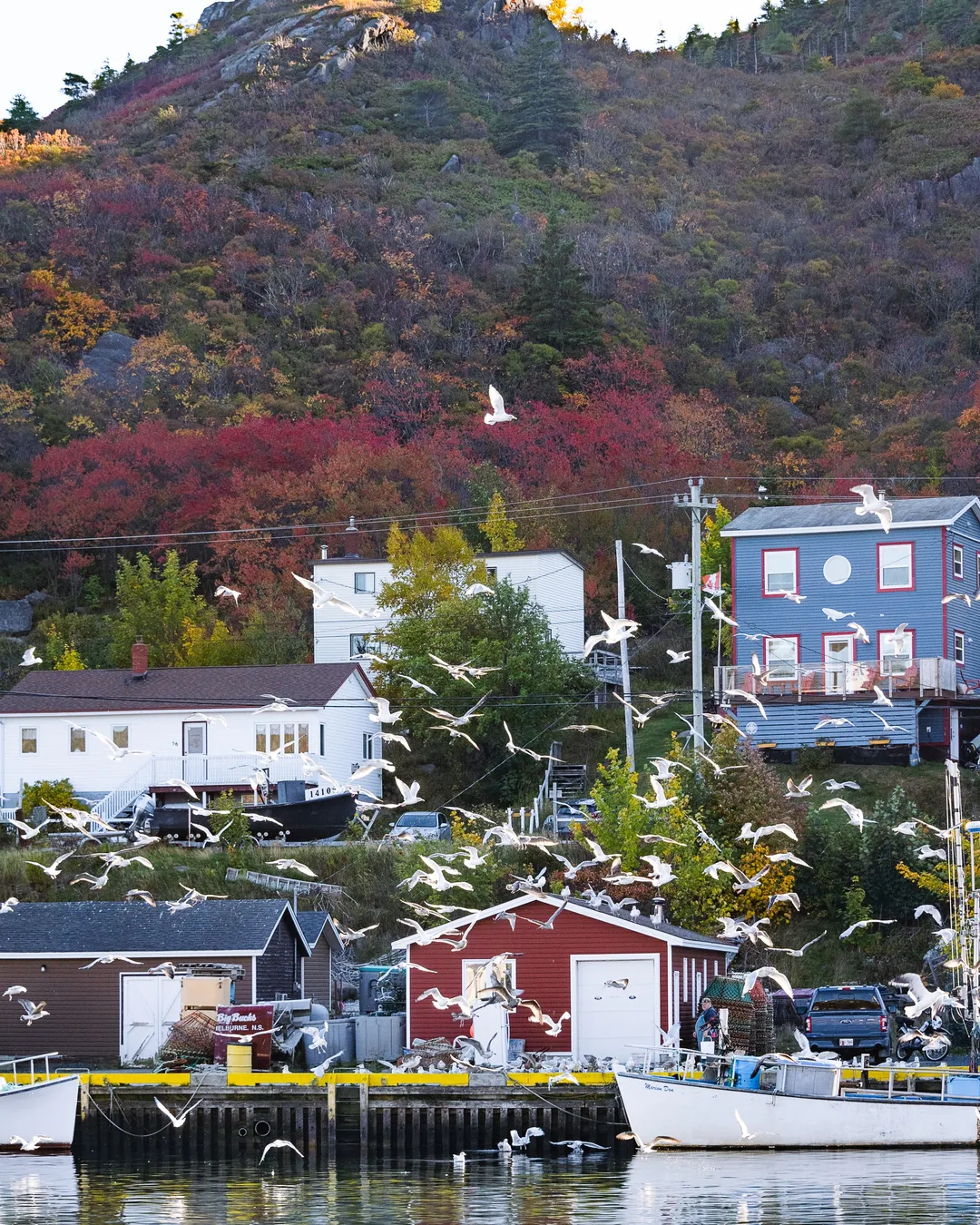 Petty Harbour-Maddox Cove