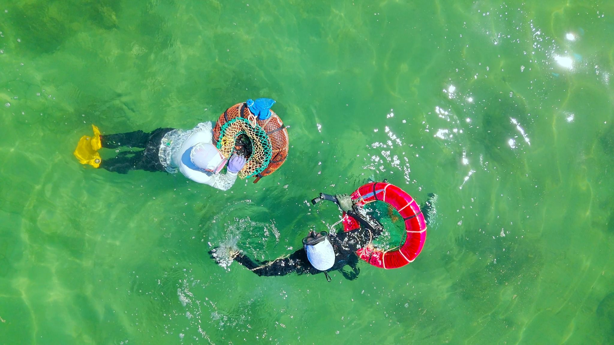 Diving with real Ama diver at Masakijima