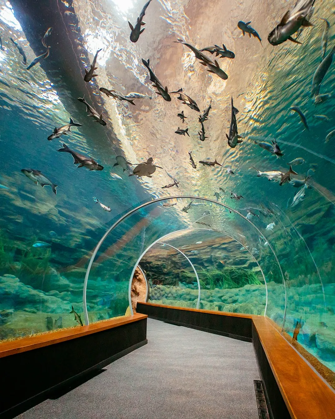 Poema del Mar Aquarium