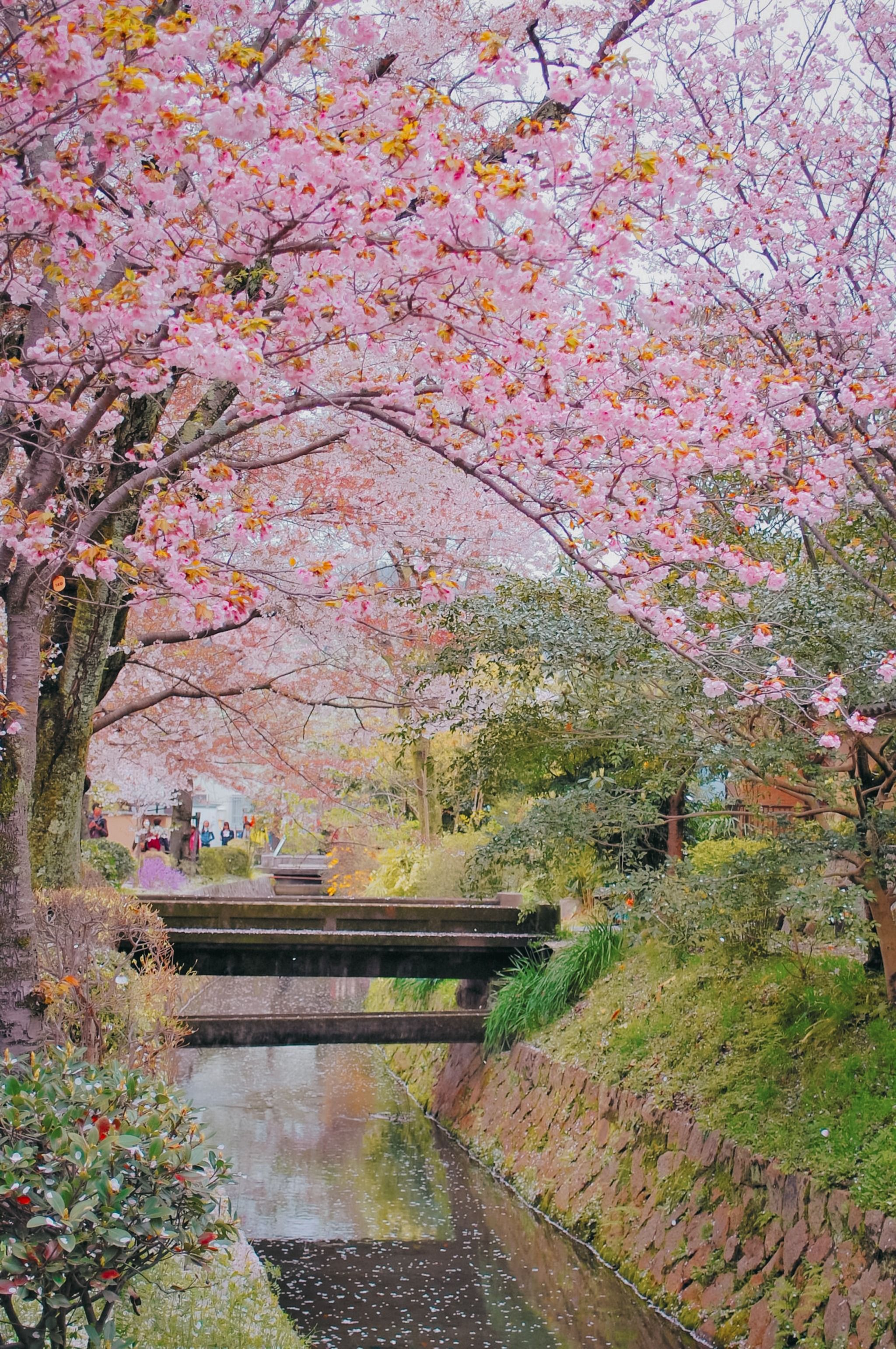 tetsugaku no michi